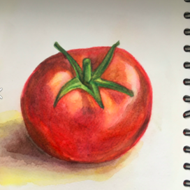 Помидор
