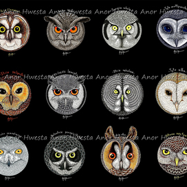 Серия "Совообразные!