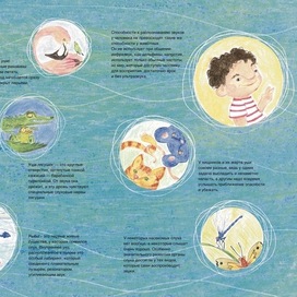 Разворот для детской книги про уши