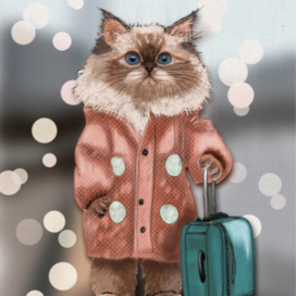 Пушистый путешественник 