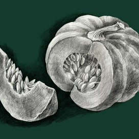 гастрономические  открытки