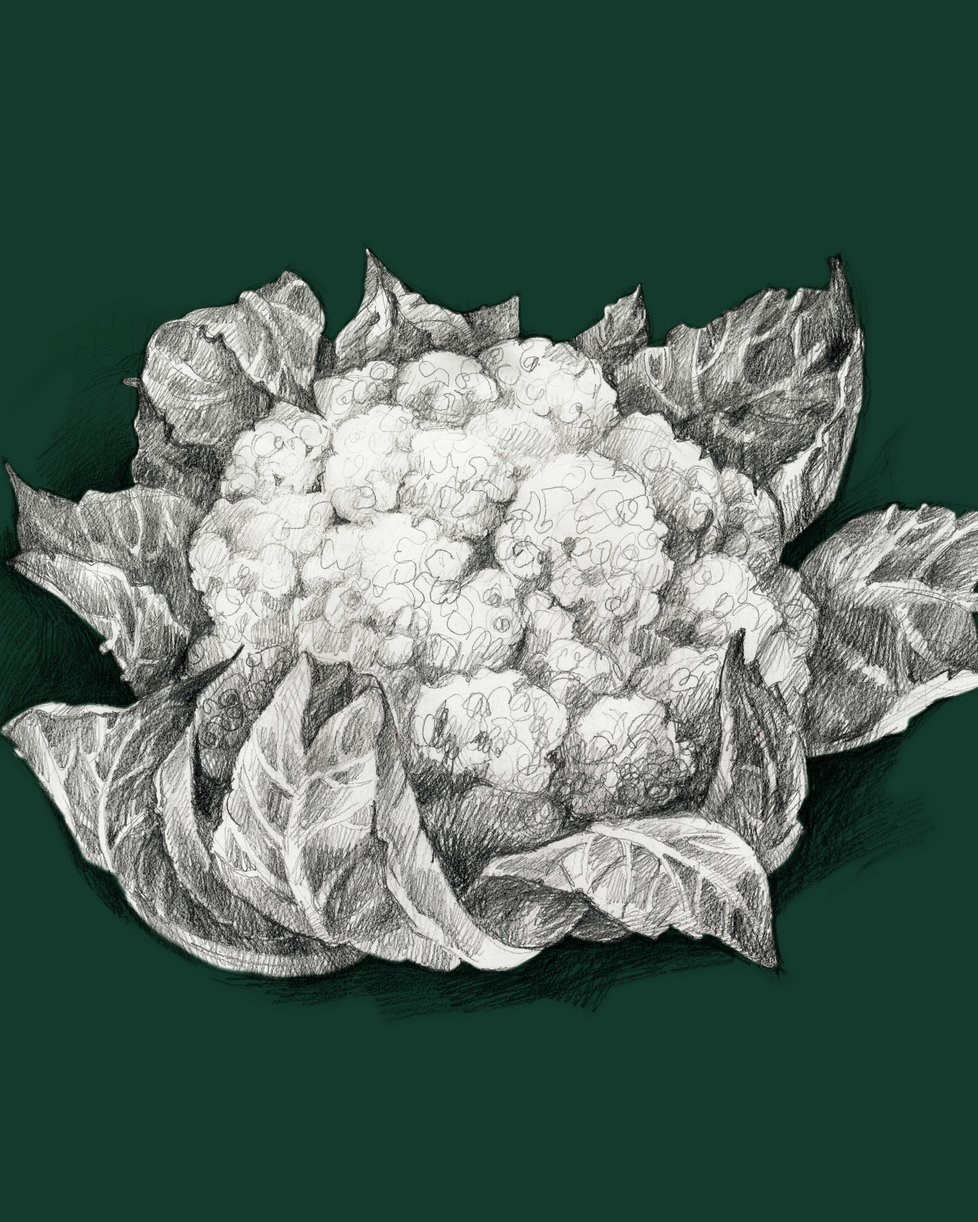 гастрономические открытки