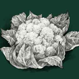 гастрономические открытки