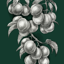 гастрономические открытки