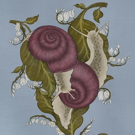 Влюбленные улитки