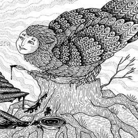 Сова и ворон