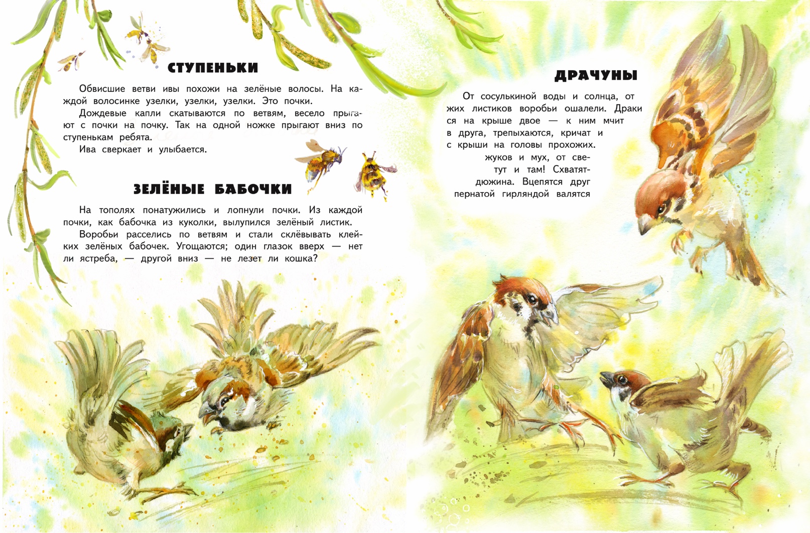 Опять драчуны, много драчунов)))