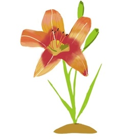 Где - то в далеких садах - лилий оранжевых лава... 