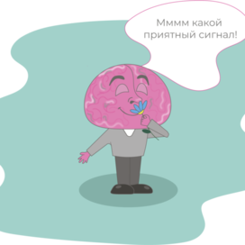 Факты о человеческом организме