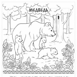 Иллюстрация для раскраски