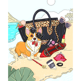 Корги модник