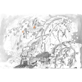 В ожидании Солнца