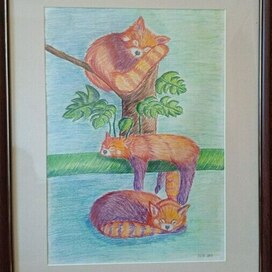 Тихий час (Красные панды)