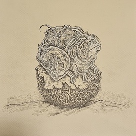 Ментальная жаба