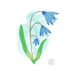 Пролеска сибирская