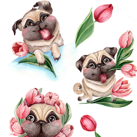 мопс с тюльпанами