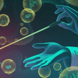 Музыка регенерации — Обложка для научно-популярной статьи