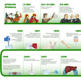 Инфоргафика — История развития регенеративной медицины