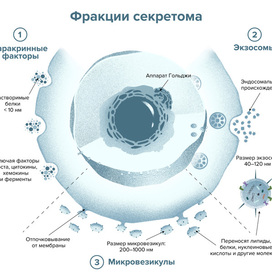 Сопроводительная иллюстрация для научно-популярной статьи