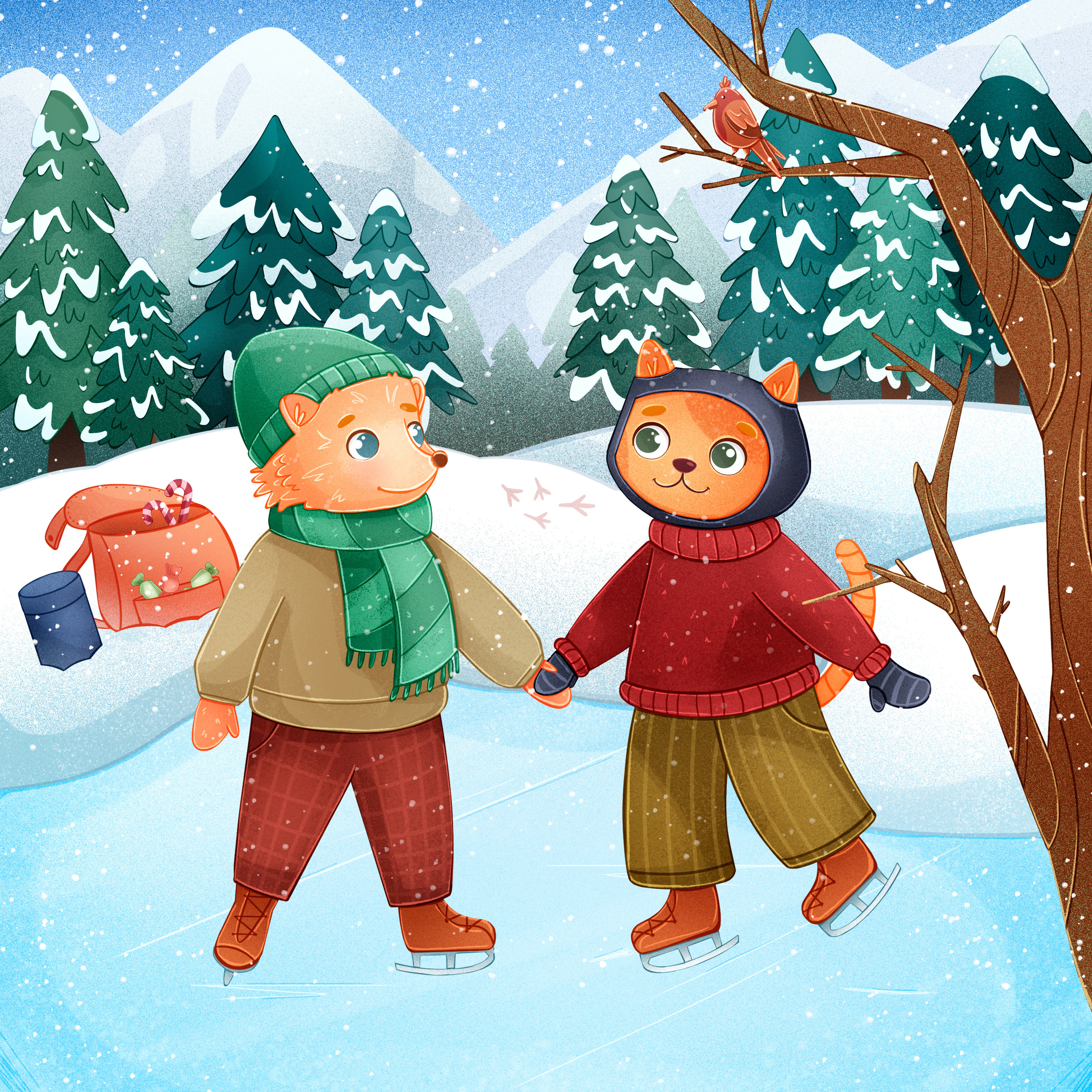 Катание на коньках