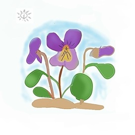 На земле, где фиалки качнулись от ветра...