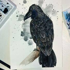 Аркадий Акакиевич Воронов