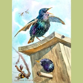 Весна!!! Скворушки поют☀️☀️☀️