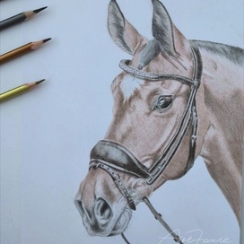 Символ года