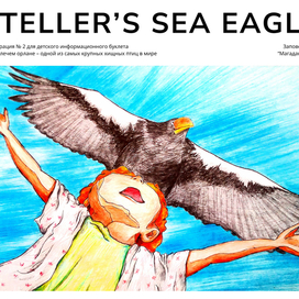 Иллюстрация для буклета о белоплечем орлане