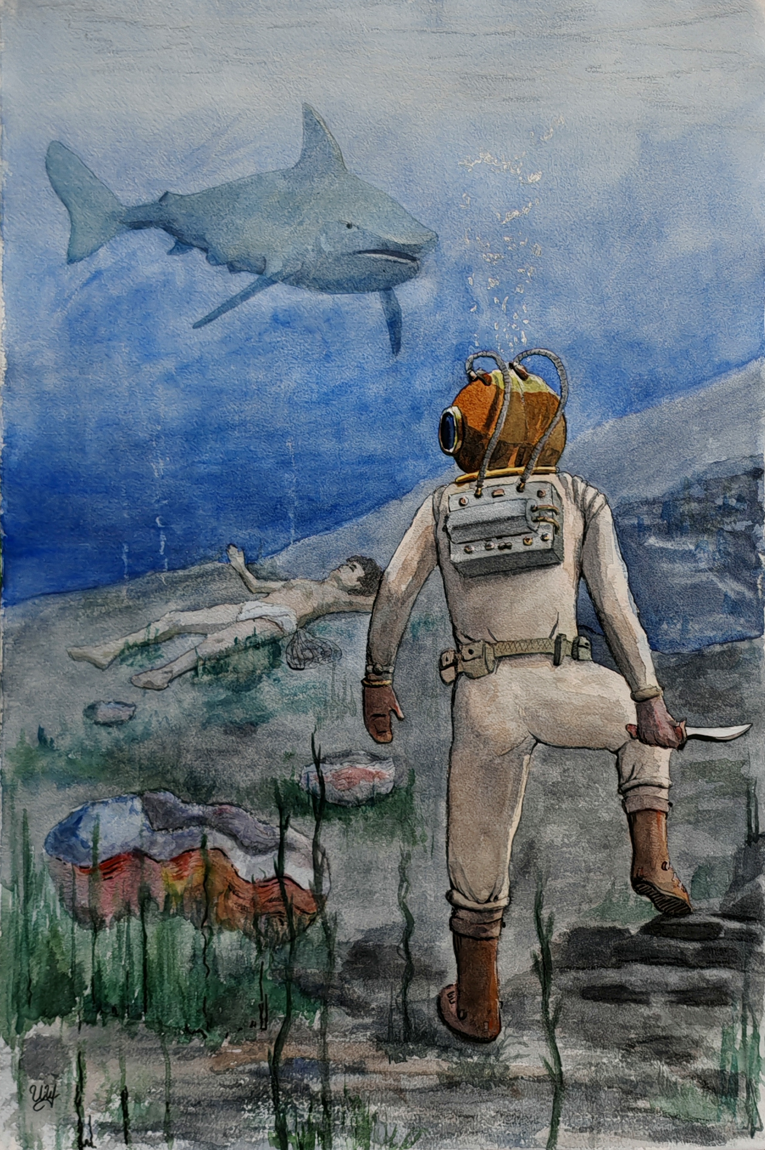 Немо и акула