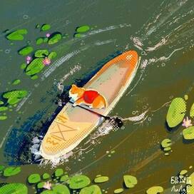 Корги на сапе