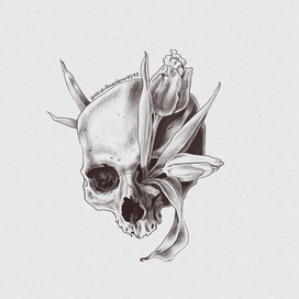 Стикер "Череп"