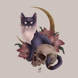 Стикер "Кот"