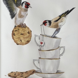 Чаепитие щеглов