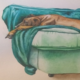 пес на отдыхе