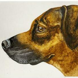 настоящий сторож