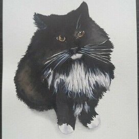 это не просто кот