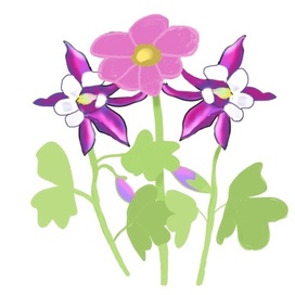 Ромашка  и водосбор