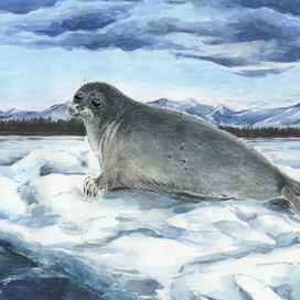 Взгляд с Байкала