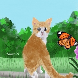 Котёнок и бабочка