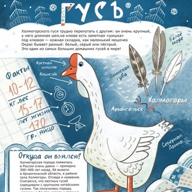 Холмогорский гусь