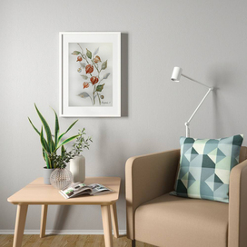 Веточка физалиса