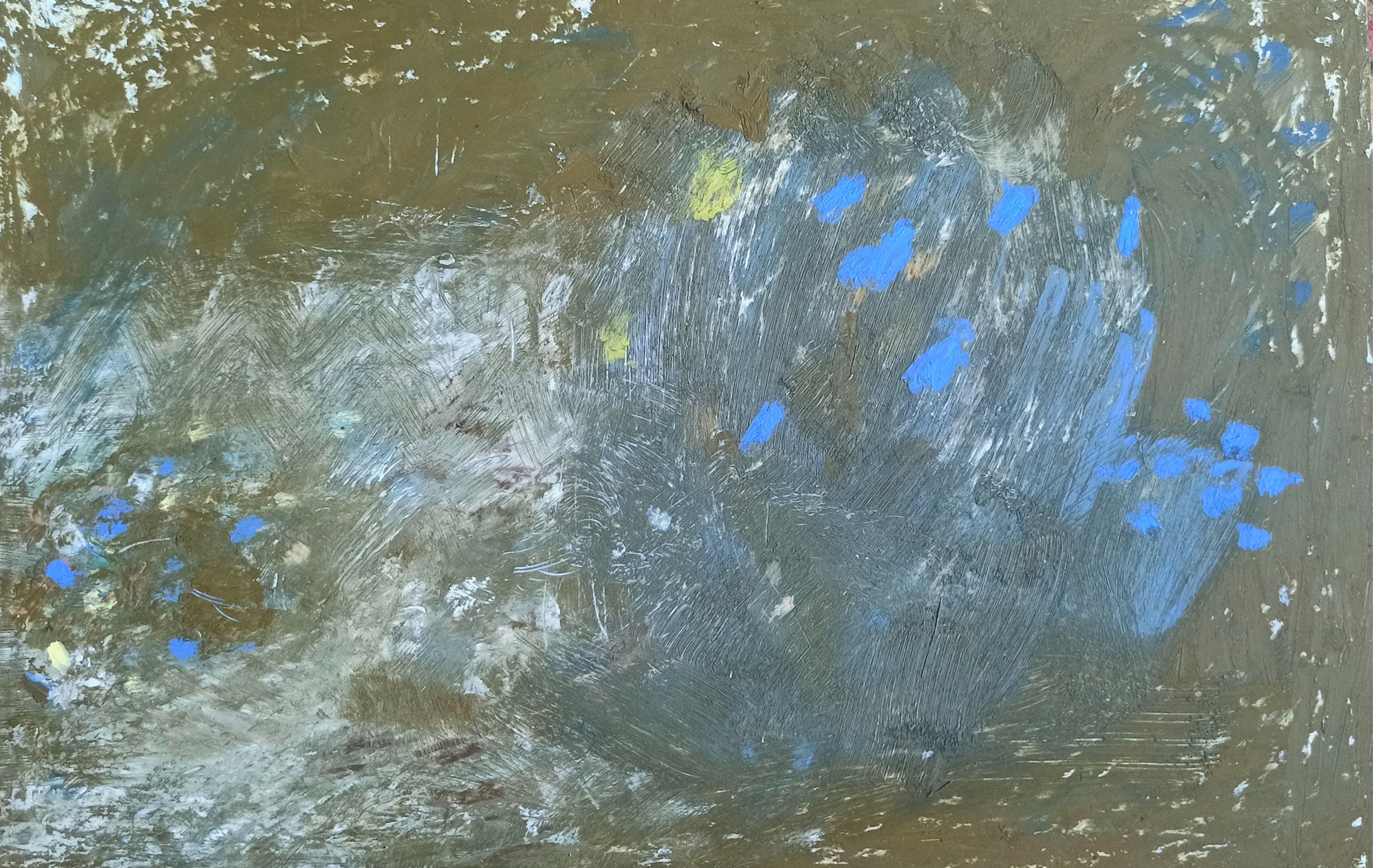 Камни и цветы