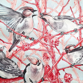 Свиристели