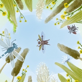 «Мимо летел майский жук…» Иллюстрация к книге Дюймовачка