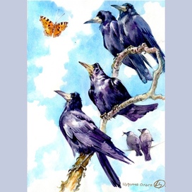 «Грачи и галки» И. Соколов-Микитов