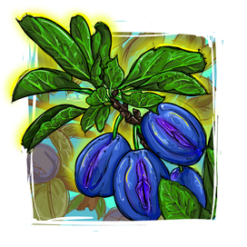 Сливы с изюминкой