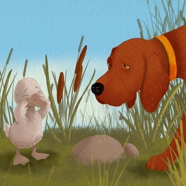 Иллюстрация к сказке Гадкий утёнок