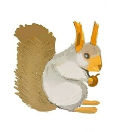 Белка в зимней шубке