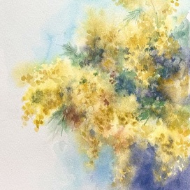 Мимоза от папы